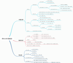 颅内大血管解剖