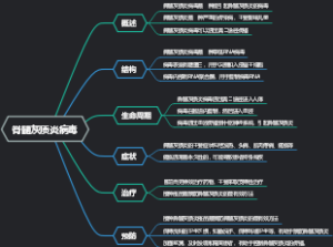 脊髓灰质炎病毒