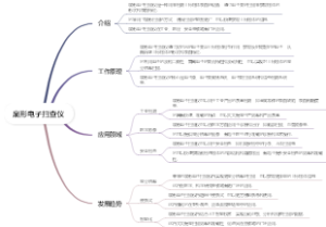 扇形电子扫查仪