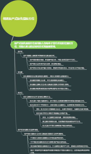 何谓胎产式胎先露胎方位