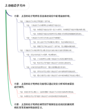 上游启动子元件