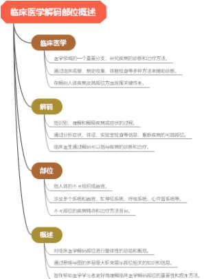 临床医学解码部位概述