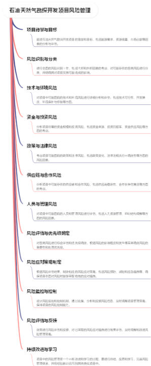 石油天然气勘探开发项目风险管理