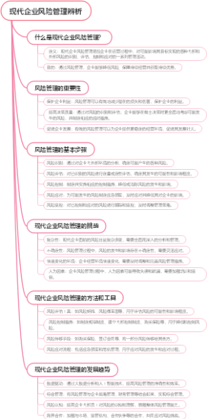 现代企业风险管理辨析