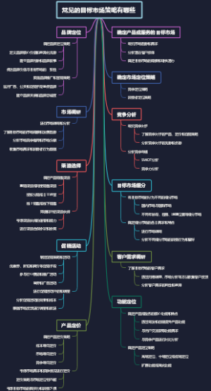 常见的目标市场策略有哪些