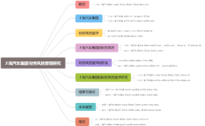 上海汽车集团财务风险管理研究