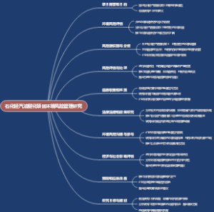 石化轻汽油醚化项目环境风险管理研究