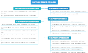 浅析证券公司融资业务风险控制