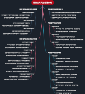 证券公司风险管理研究
