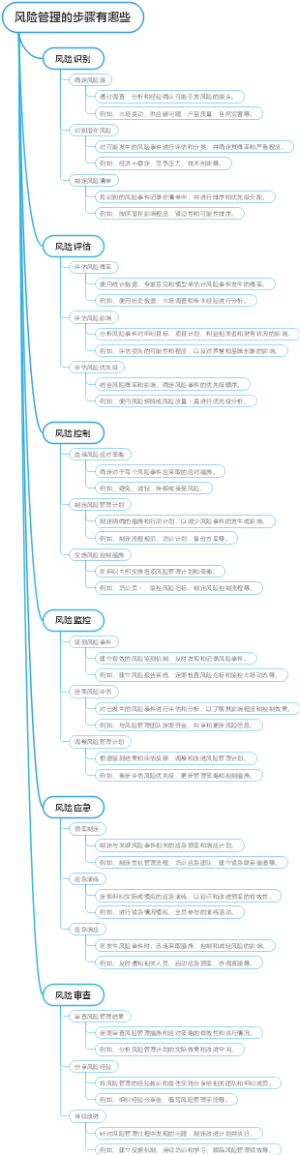 风险管理的步骤有哪些
