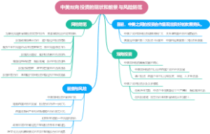 中美双向投资的现状和前景与风险防范