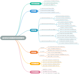 山东省地方政府债券风险管理研究