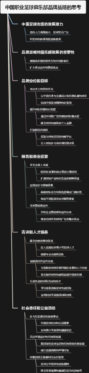 中国职业足球俱乐部品牌战略的思考