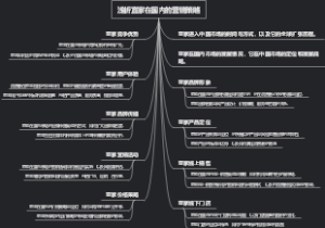浅析宜家在国内的营销策略