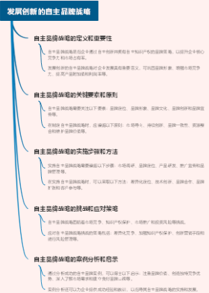 发展创新的自主品牌战略
