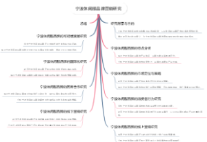 宁波休闲服品牌营销研究