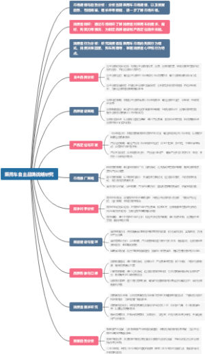 乘用车自主品牌战略研究