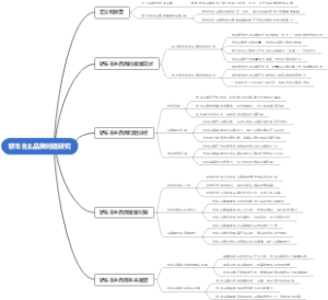 轿车自主品牌问题研究