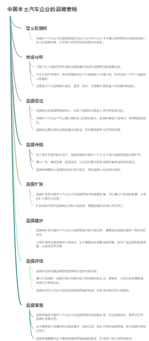 中国本土汽车企业的品牌营销