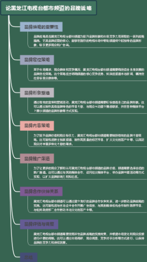 论黑龙江电视台都市频道的品牌战略