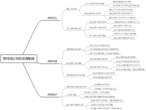 高科技公司的品牌策略