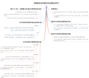 我国职业篮球俱乐部品牌建设研究