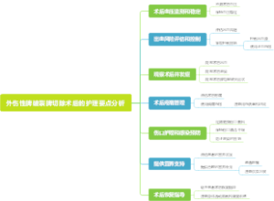 外伤性脾破裂脾切除术后的护理要点分析