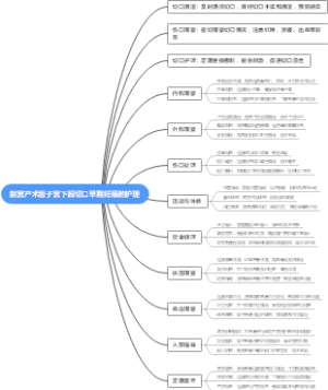 剖宫产术后子宫下段切口早期妊娠的护理