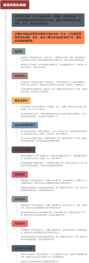 猫易传染的疾病