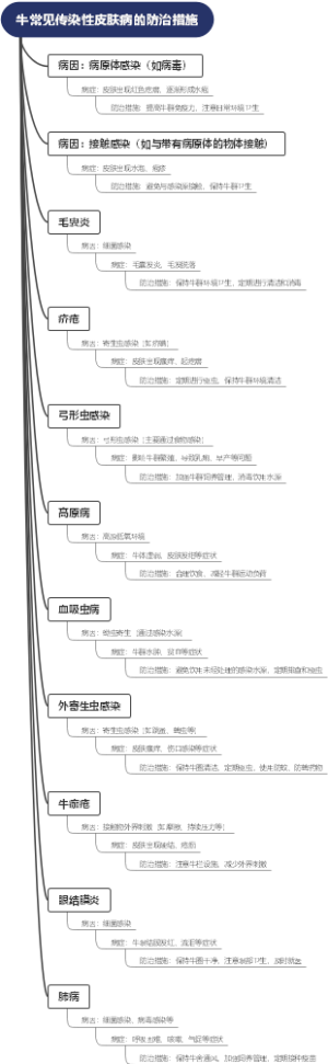 牛常见传染性皮肤病的防治措施
