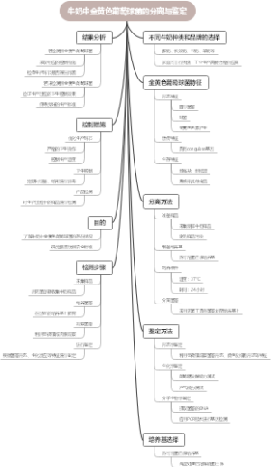 牛奶中金黄色葡萄球菌的分离与鉴定