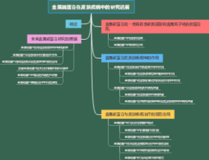 金属硫蛋白在皮肤疾病中的研究进展