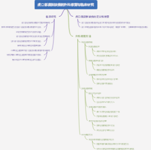 虎口部皮肤缺损的外科修复与临床研究