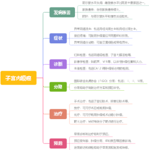子宫内膜癌