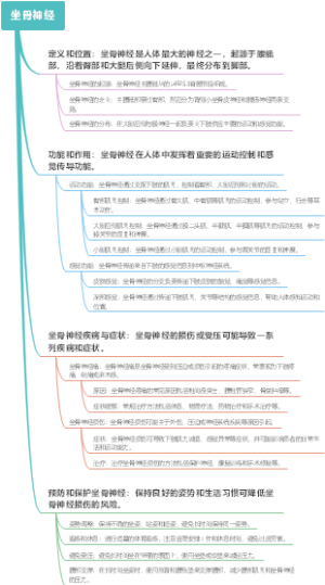 坐骨神经