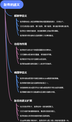 趾骨的涵义