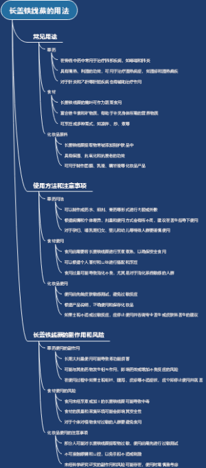 长盖铁线蕨的用法