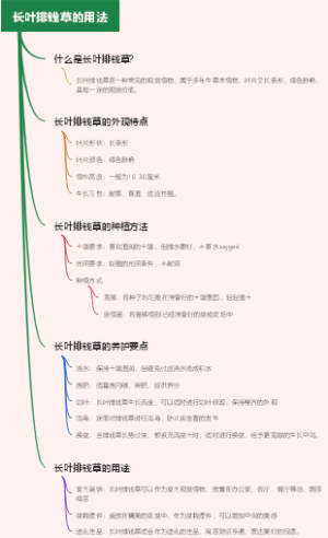 长叶排钱草的用法