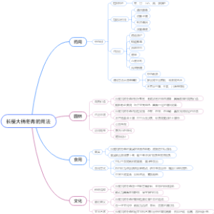 长梗大柄冬青的用法