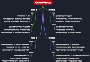 光叶蝴蝶草的用法