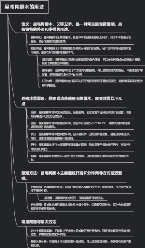 星毛鸭脚木的用法