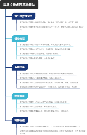 喜马拉雅虎耳草的用法