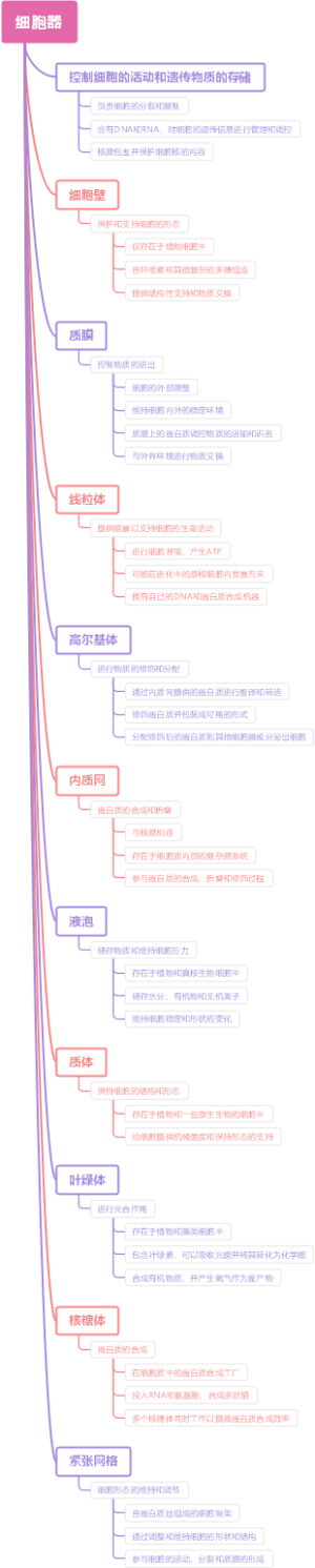 细胞器