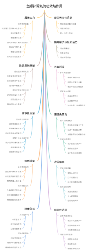 鱼鳔补肾丸的功效与作用