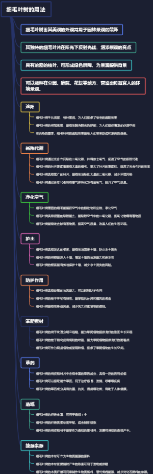 细毛叶树的用法