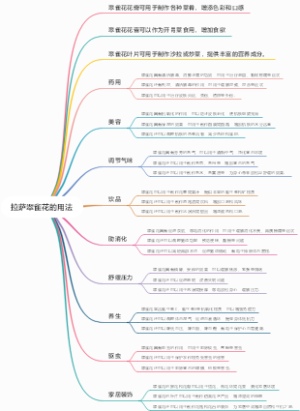 拉萨翠雀花的用法