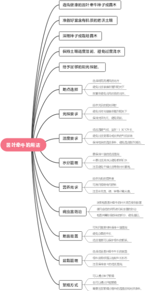 圆叶牵牛的用法