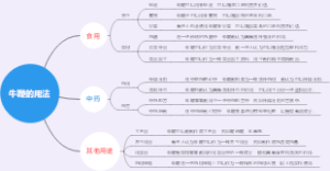 牛鞭的用法