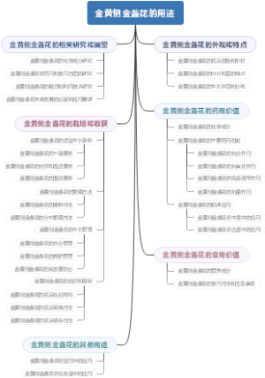 金黄侧金盏花的用法