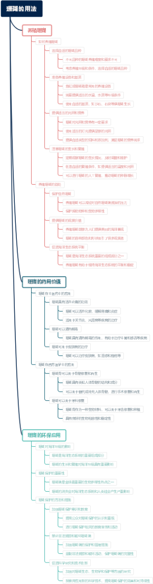 珊瑚的用法